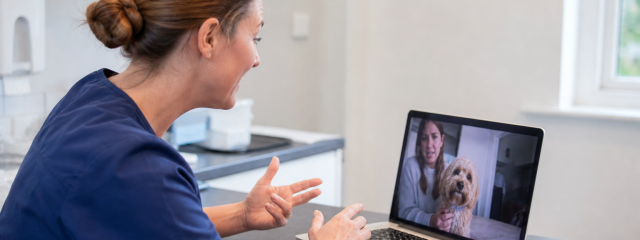 How Video Consultations Help Busy Pet Owners