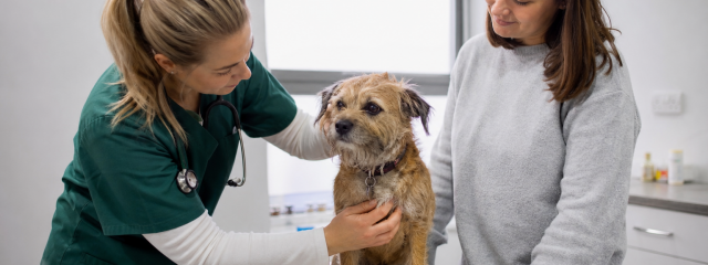 The Benefits of Joining a Pet Health Plan