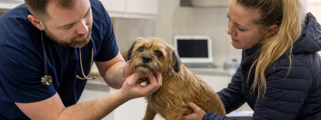What Services Does Parish Lane Veterinary Surgery Offer?